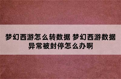 梦幻西游怎么转数据 梦幻西游数据异常被封停怎么办啊